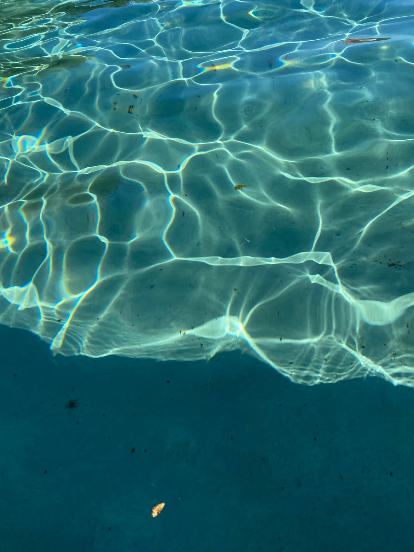 Naturschwimmteich im Sonnenlicht – Haus Sibylle
